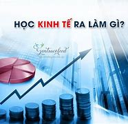 Đại Học Kinh Tế Gồm Những Ngành Gì