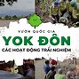 Tuyển Dụng Cây Xanh