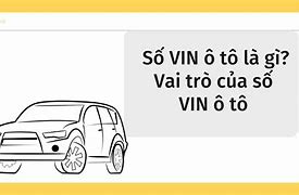 Vin No Nghĩa Là Gì